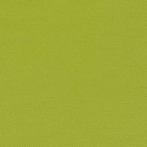 25000-66 – Grass Green