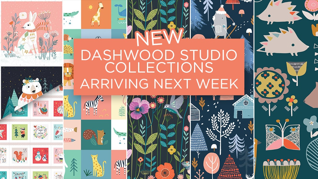 Read more about the article Dashwood Studio New Collections In Stock!