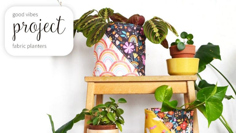 Read more about the article DIY Fabric Planters