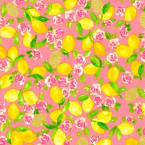 Wishwell: Rose Lemonade – Coral