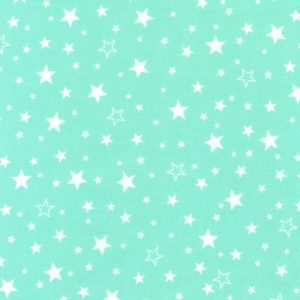 SRKF-15593-241 – Cozy Cotton Flannel – SEAFOAM