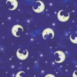 AHHD-22076-312 – Night Owls – Starry Night