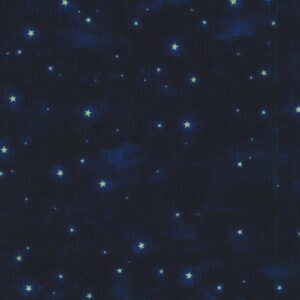 AHHD-22101-69 – Night Owls – Midnight