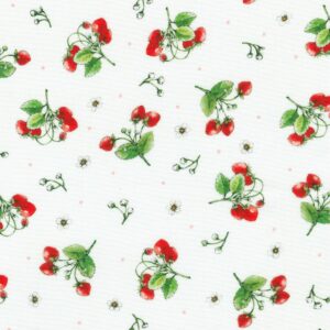 ABYD-22315-1 – Wishwell: Strawberry Season – WHITE