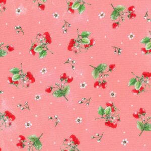 ABYD-22315-301 – Wishwell: Strawberry Season – AZALEA