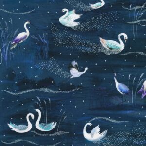 AQODM-22923-312 – Silver Lake – Starry Night