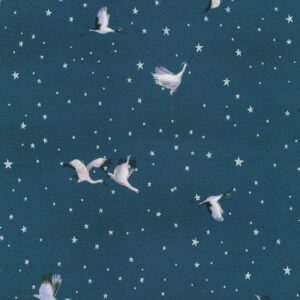 AQODM-22924-312 – Silver Lake – Starry Night