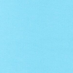 F019-1005 – Flannel Solid – AQUA