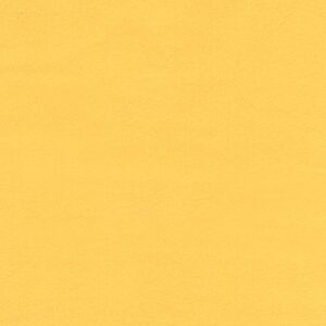F019-1077 – Flannel Solid – CITRUS