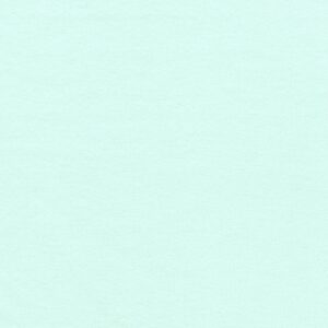 F019-1329 – Flannel Solid – SEA MIST