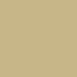 F019-1369 – Flannel Solid – TAN