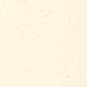 F019-1908 – Flannel Solid – UNDYED NATURAL