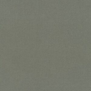 F019-457 – Flannel Solid – SHADOW
