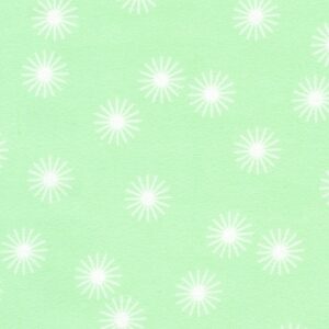 SRKF-22731-308 – Cozy Cotton Flannel – Fresh Dew