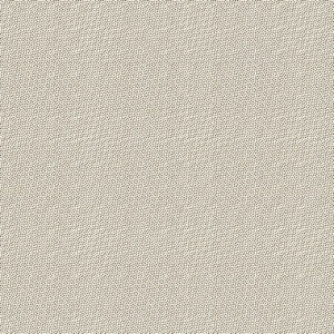 DHER1503-BISCUIT