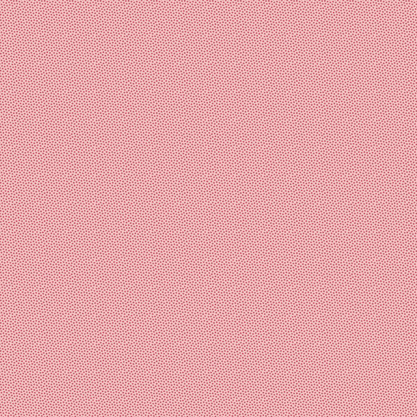 DHER1503-CAMELIA