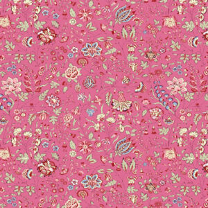 DHER1025-RASPBERRY